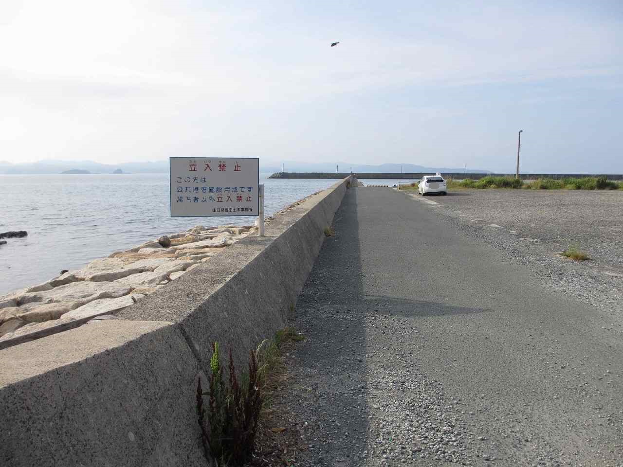 山口釣り・西・角島尾山港